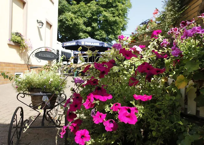 Otel Zur Waldlust Frankfurt am Main